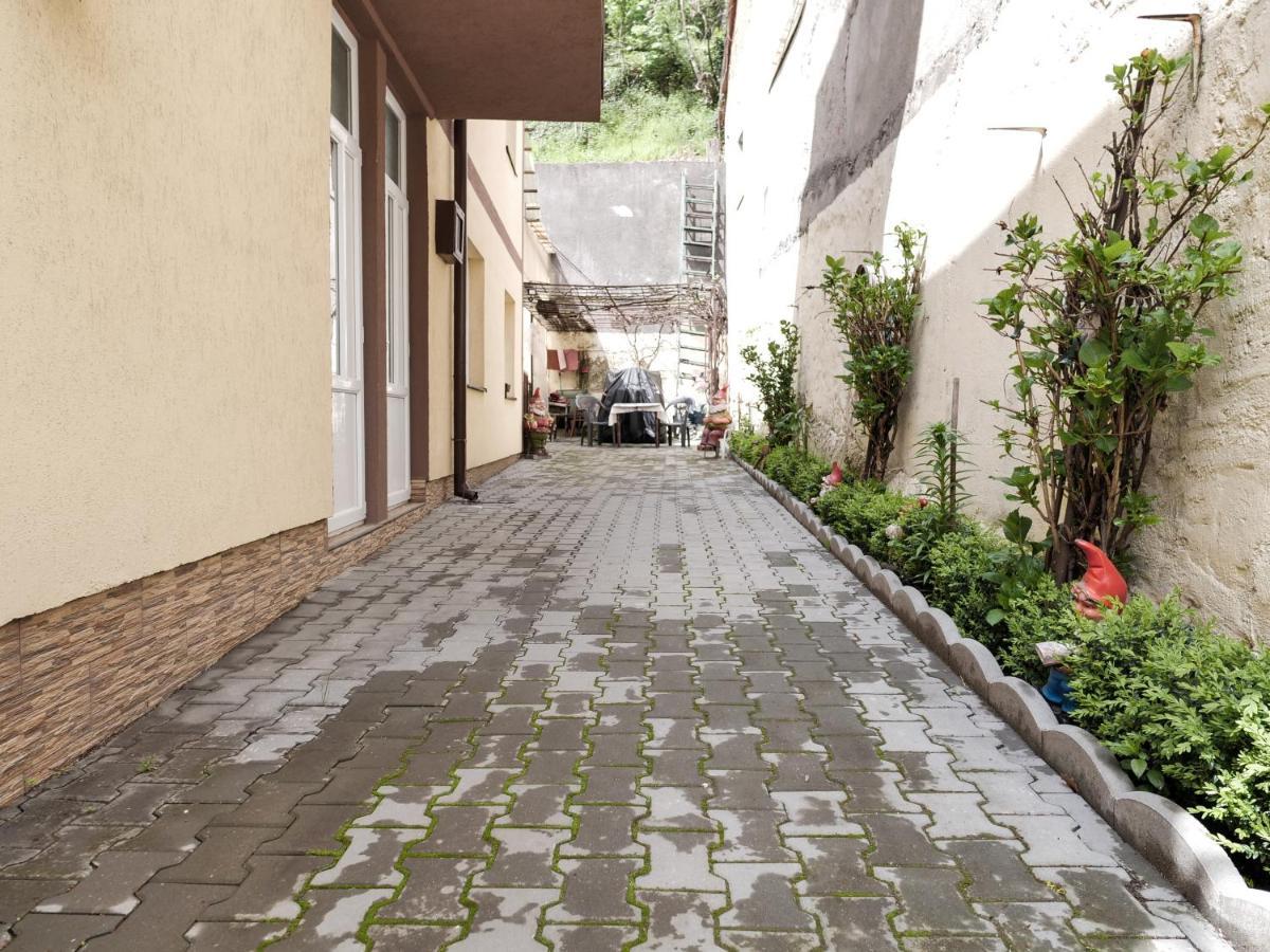 Casa Fery Villa Herkulesfürdő Kültér fotó